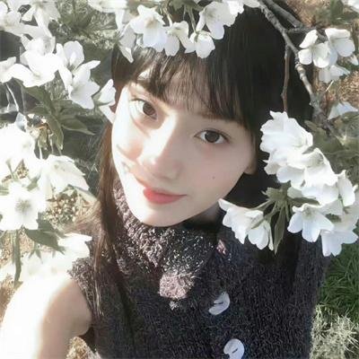 动画动漫